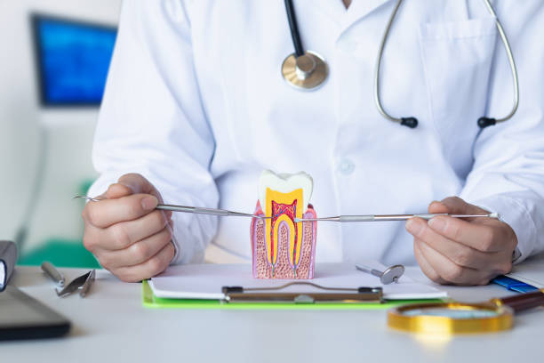 Best Walk-In Emergency Dental Services in Roeland Park, KS